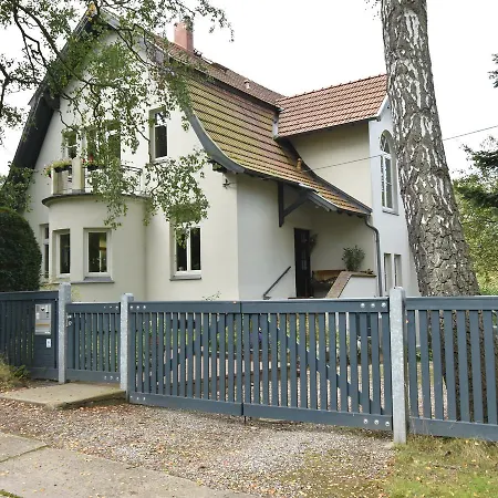 With Garden On The Edge Of The Forest