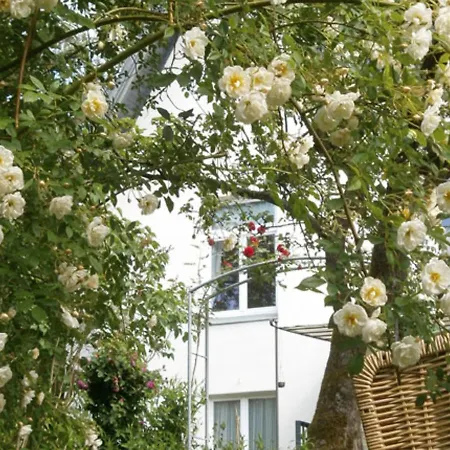 With Garden On The Edge Of The Forest * Бад-Доберан