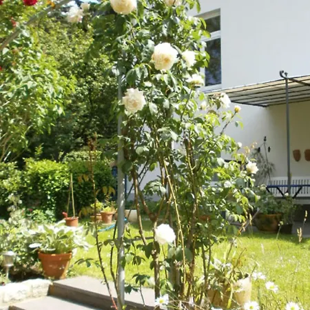 Villa With Garden On The Edge Of The Forest