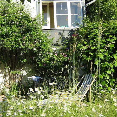 With Garden On The Edge Of The Forest