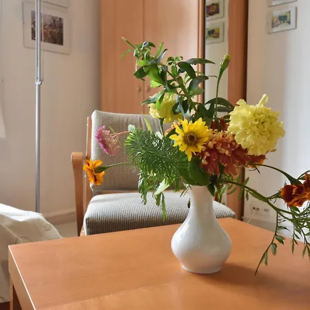 With Garden On The Edge Of The Forest Вилла